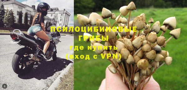 мяу мяу мука Семикаракорск