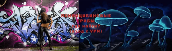метамфетамин Алексин