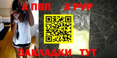 амф Гай